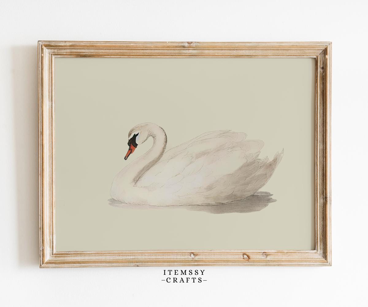Antique Swan Watercolor Painting wall art print